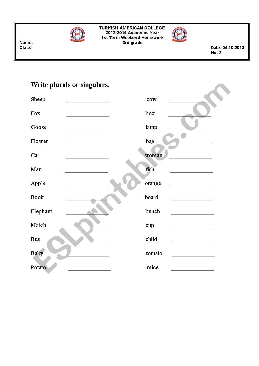 singulars and plurals worksheet