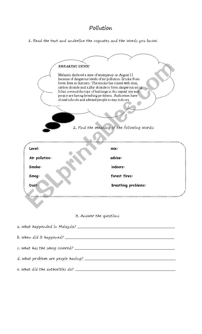 pollution in Malaysia worksheet