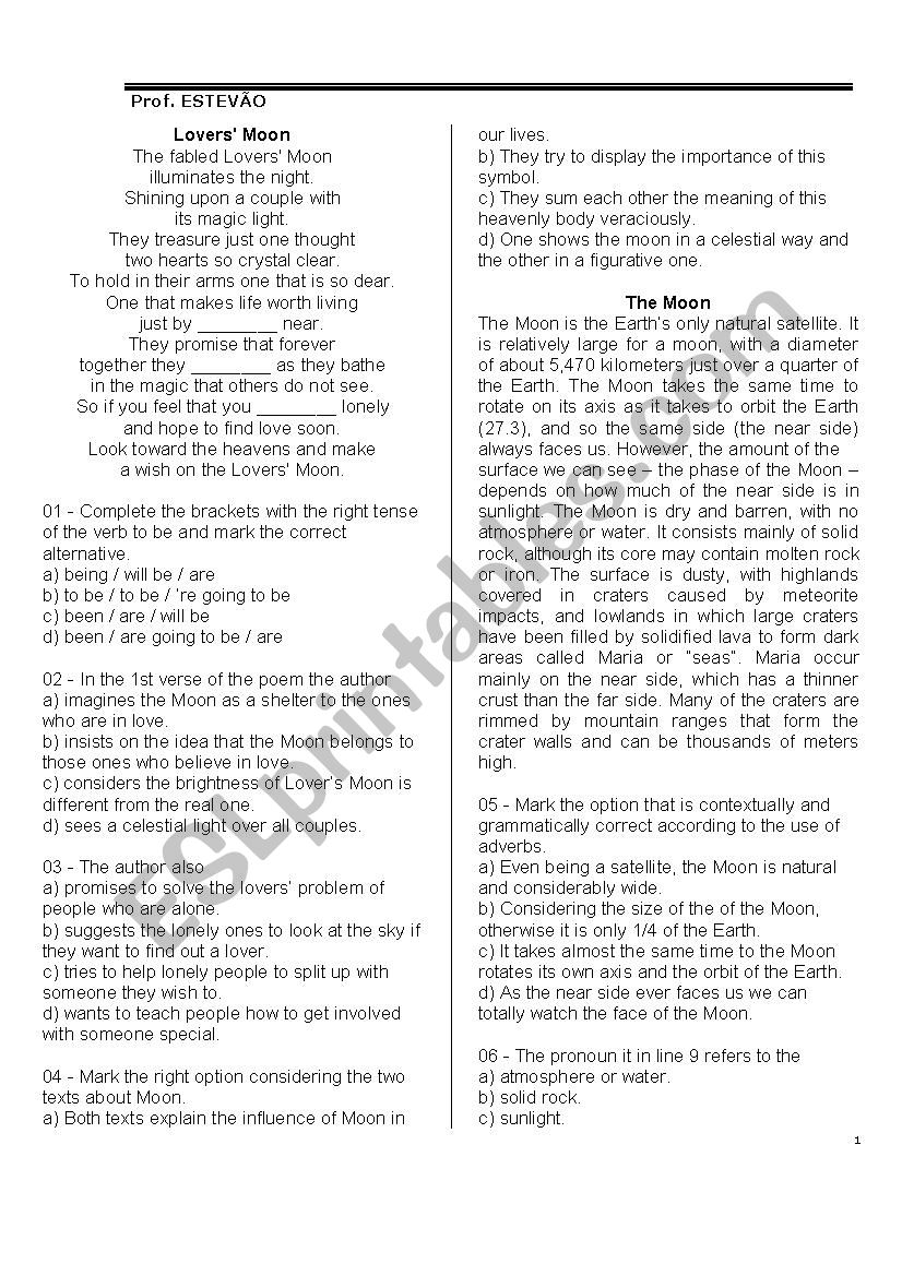 Text comprehension  worksheet