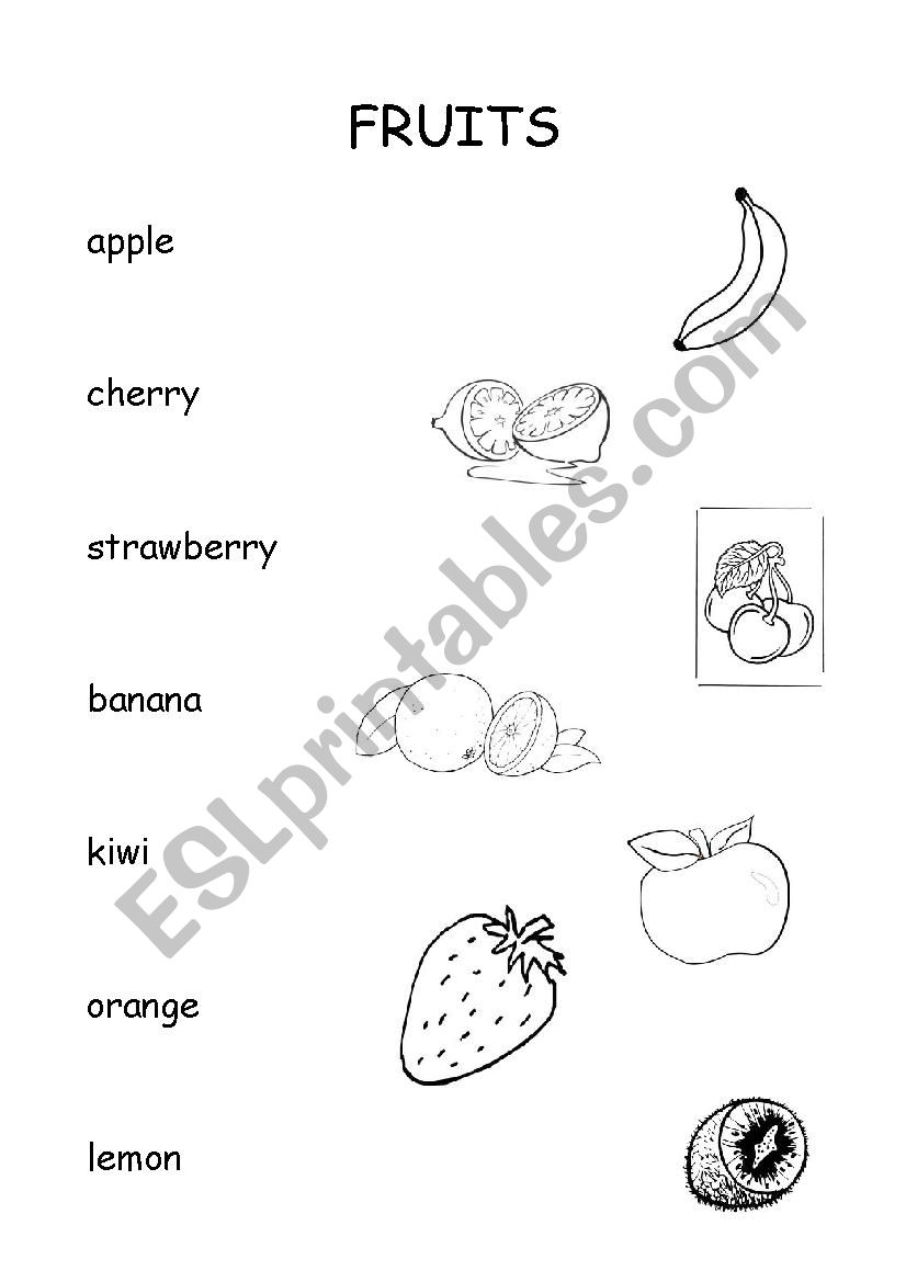 fruits worksheet