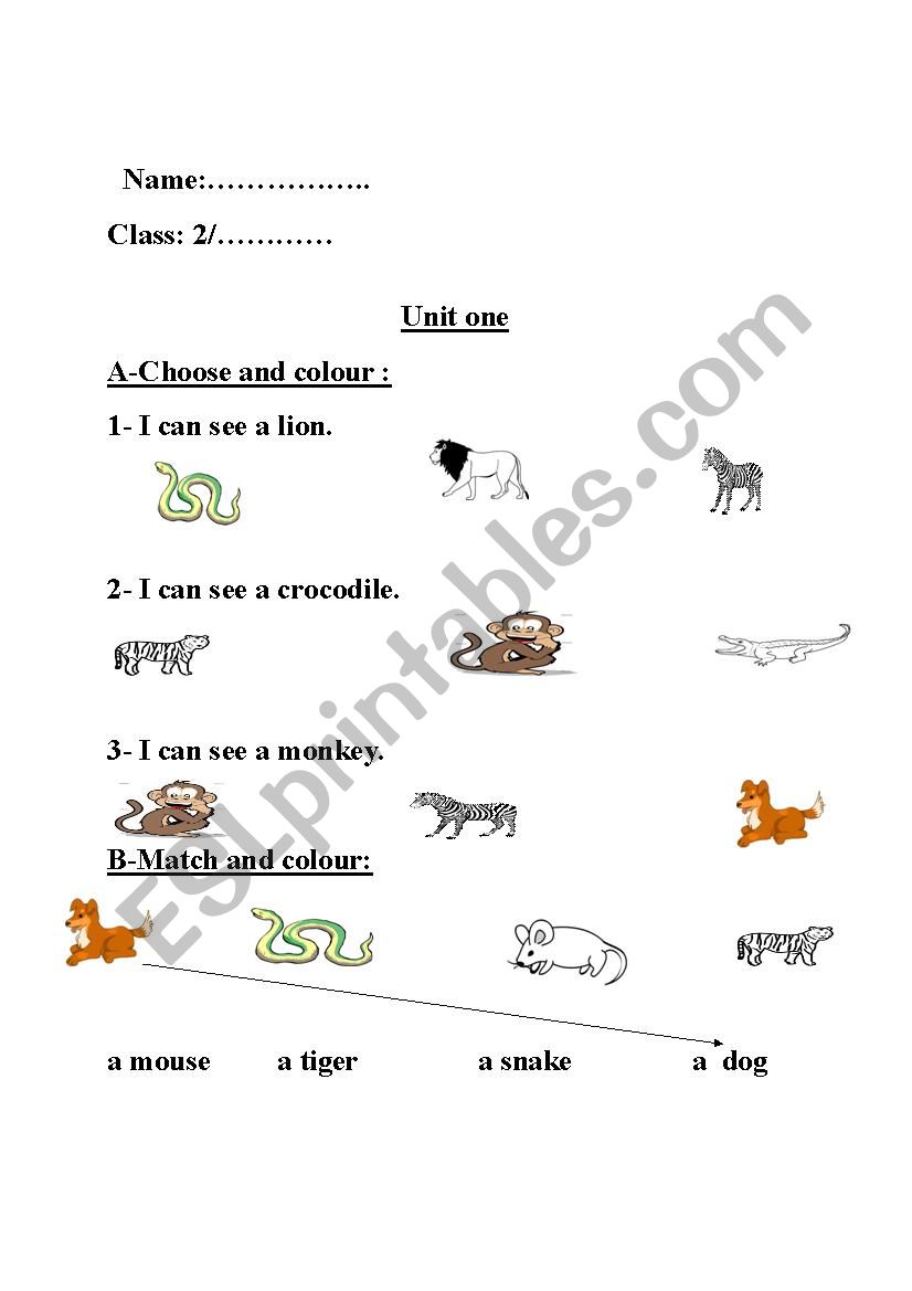 A-Choose and colour : worksheet