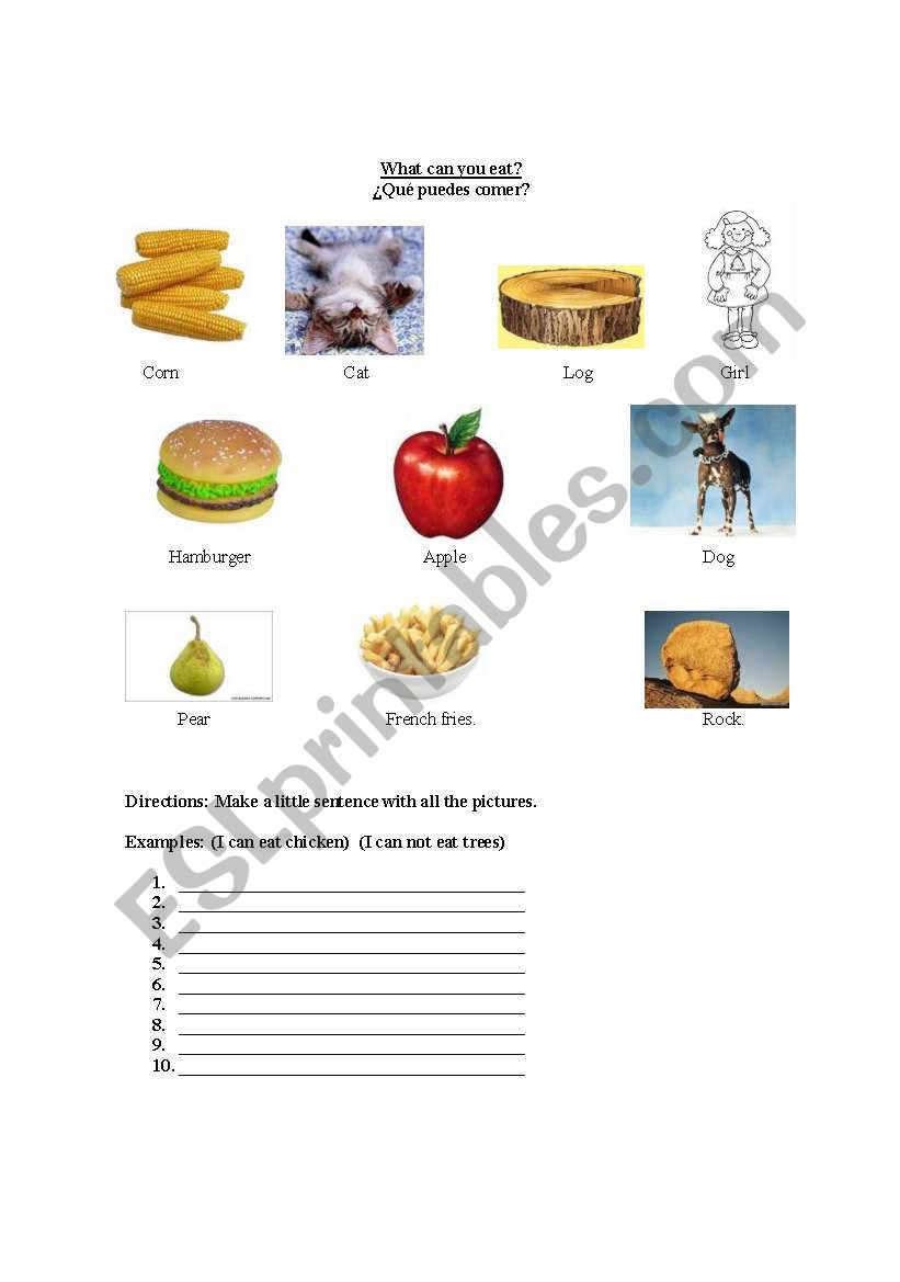 What can you eat? worksheet