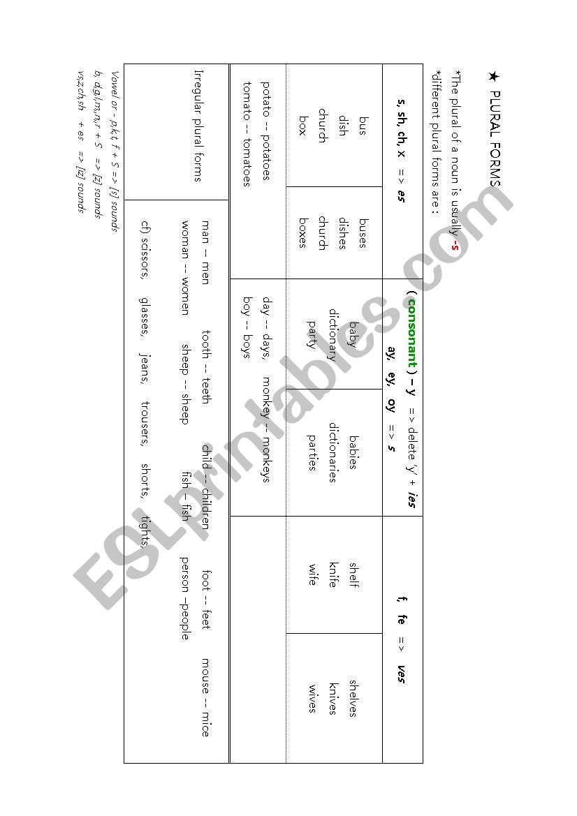 plural forms worksheet