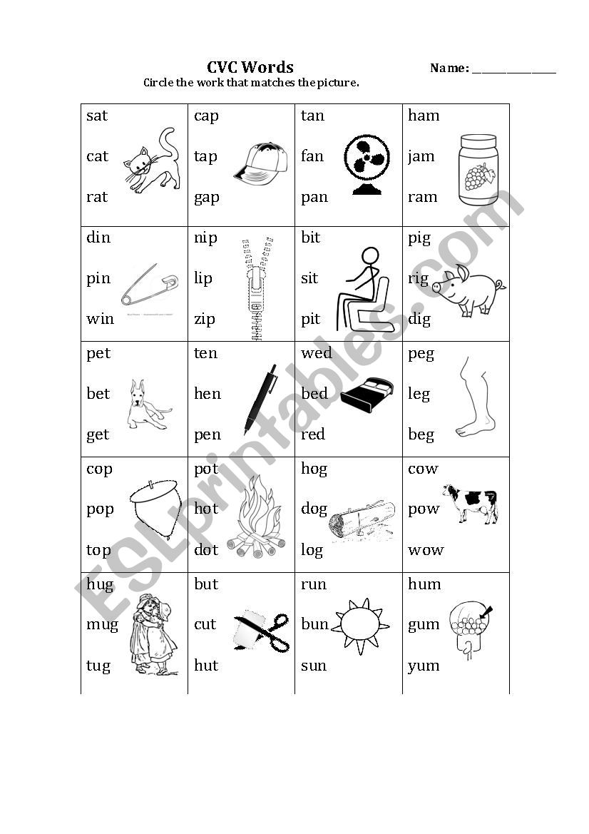 CVC Pic Work Match worksheet