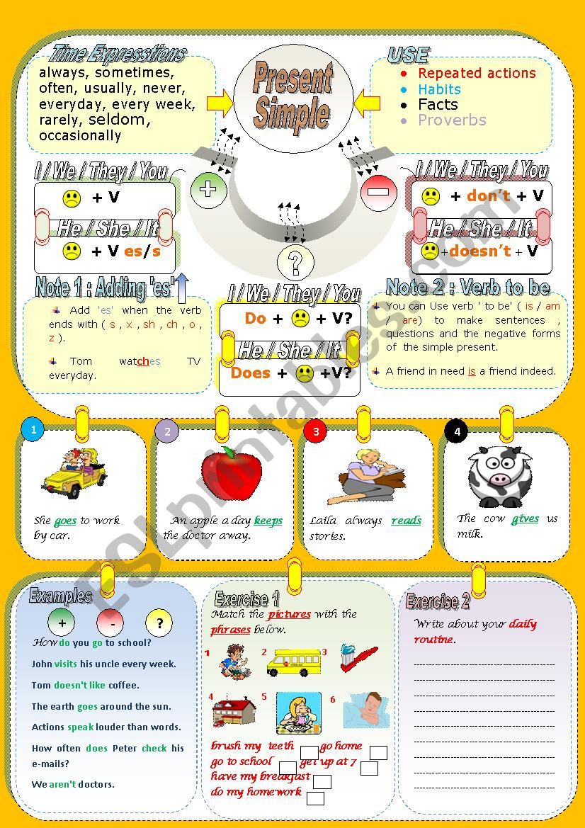 The Simple Present Tense ESL Worksheet By Hussamk2000