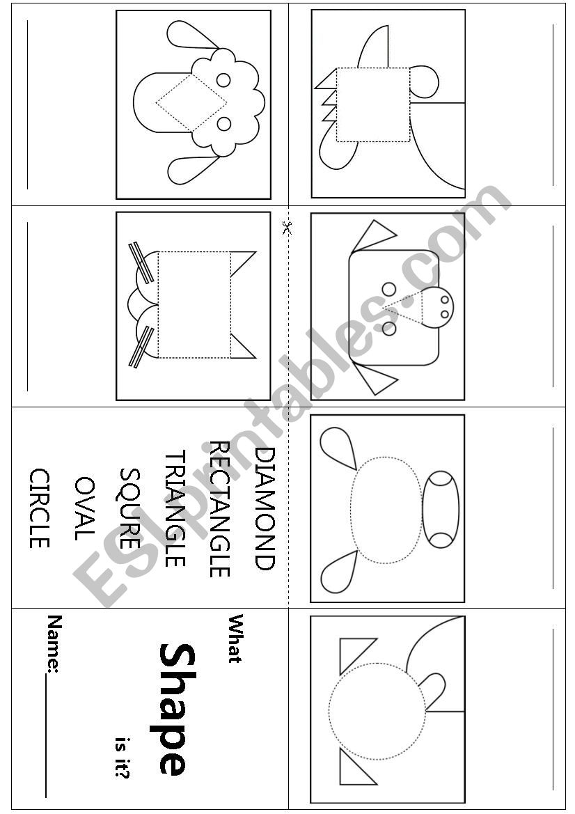 What shpae is it? worksheet