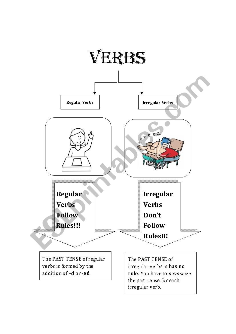 regular and irregular verbs worksheet