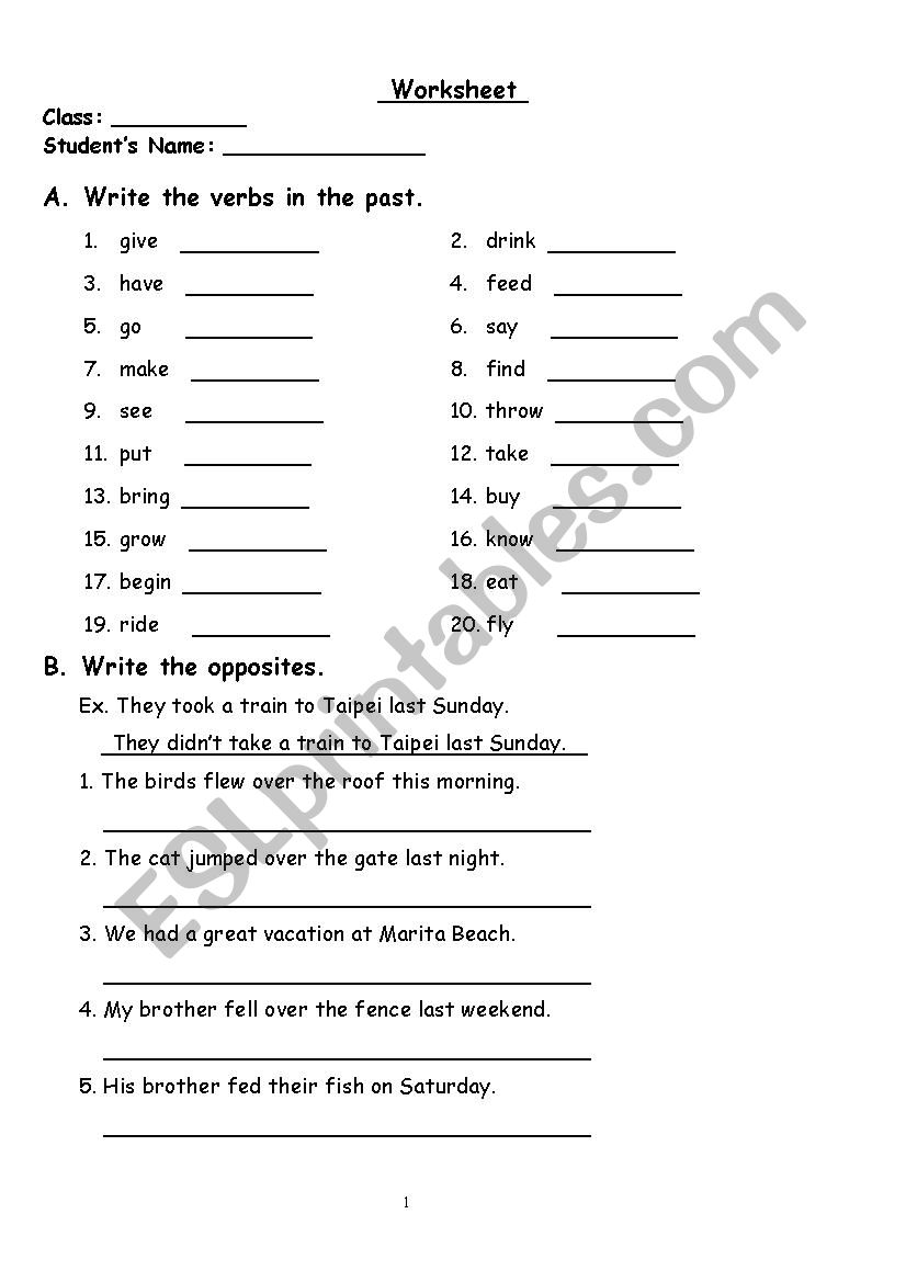 The Worksheet worksheet