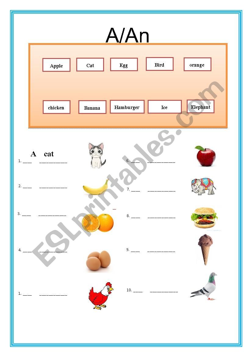 Using  A or An worksheet