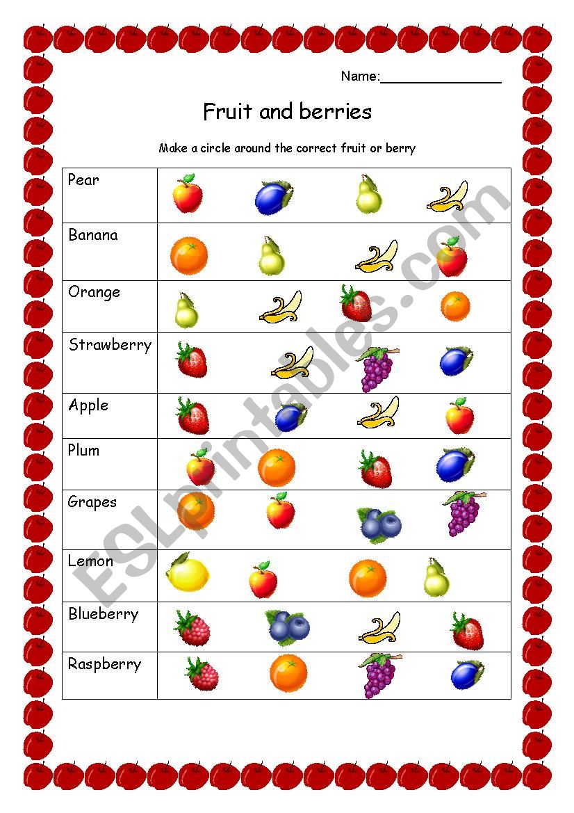 Fruits and berries worksheet