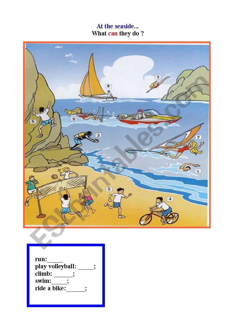 at the sea side worksheet