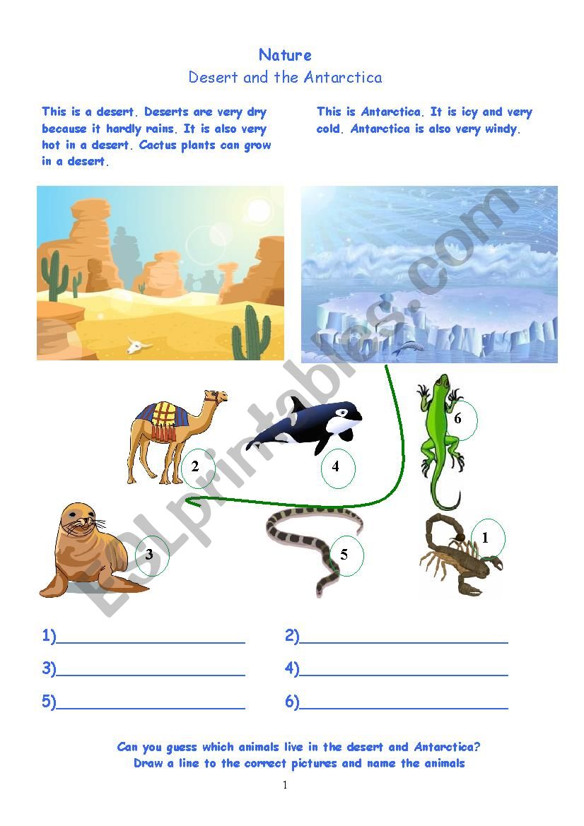 nature science animals esl worksheet by pam17