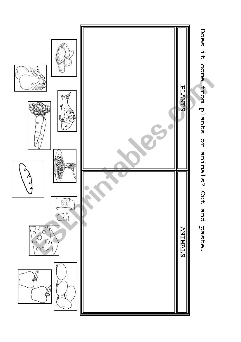 FOOD worksheet