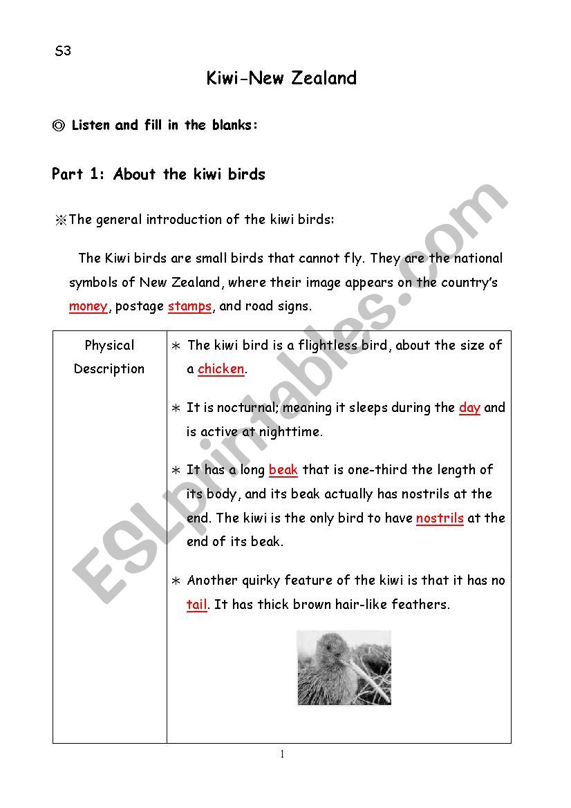 Kiwi in NZ worksheet