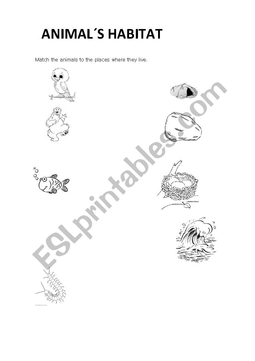 ANIMAL´S HABITAT - ESL worksheet by VickyV2010