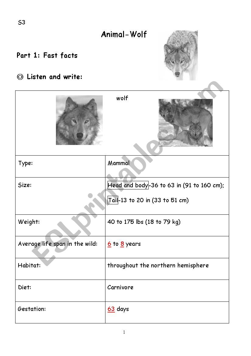 Animal-Wolf worksheet