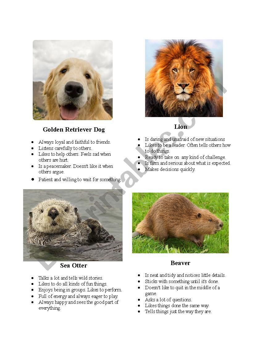 Animal Personality Types worksheet