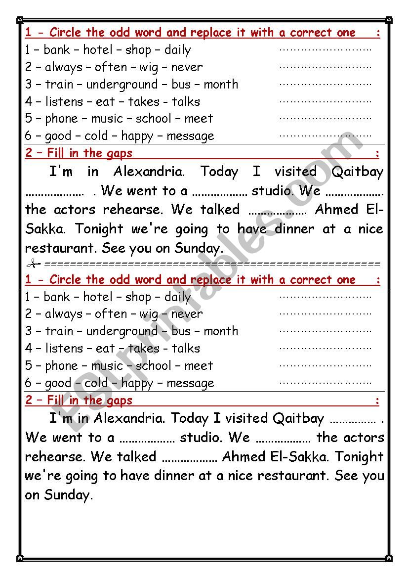 a test for primary students worksheet