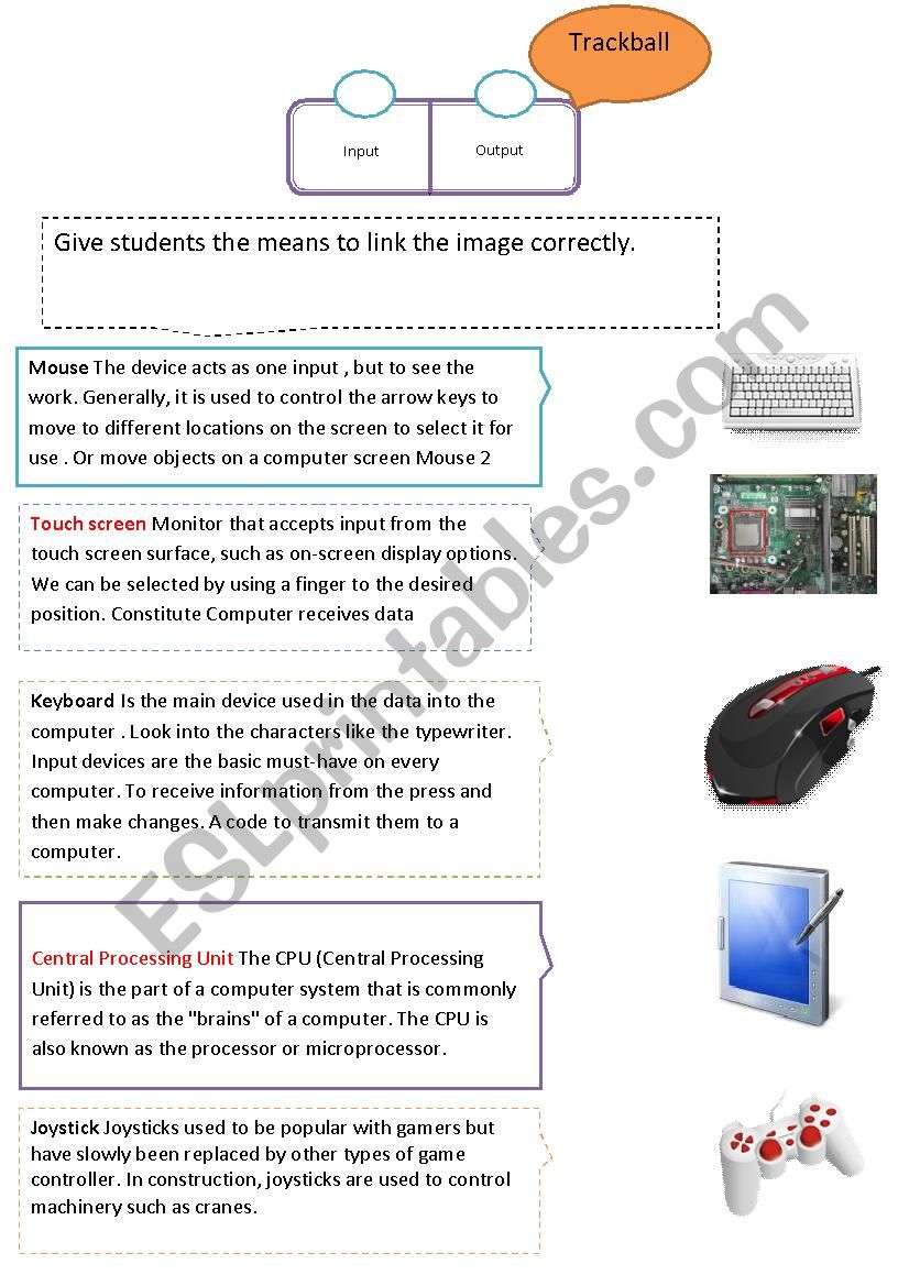 Input or Output  worksheet