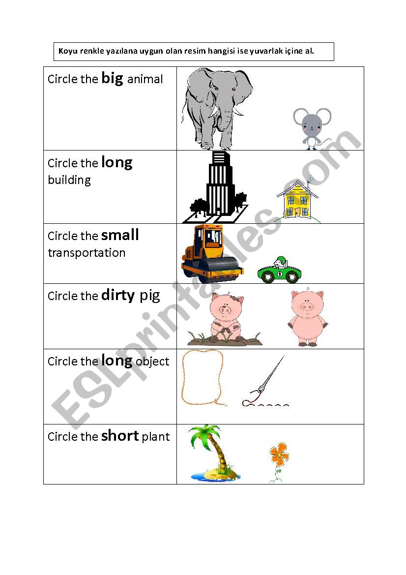 Adjectives worksheet