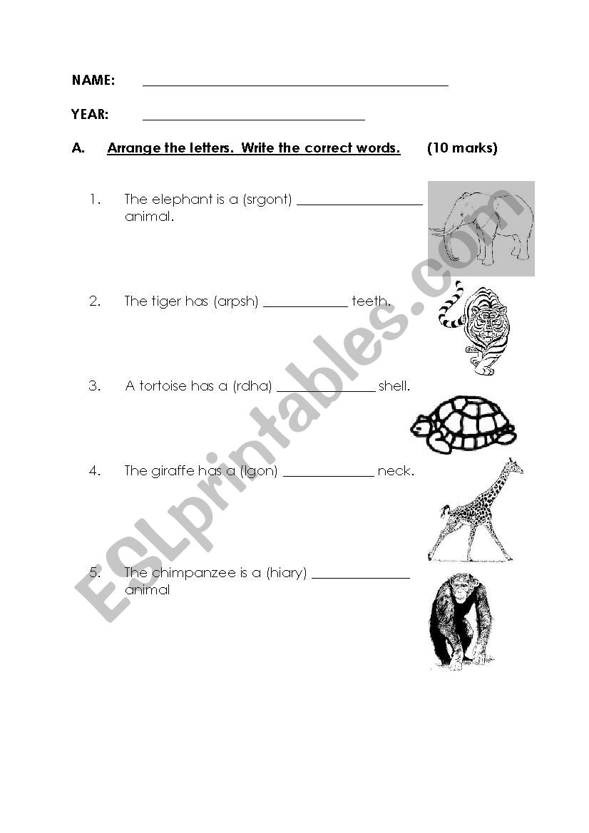 Animals worksheet