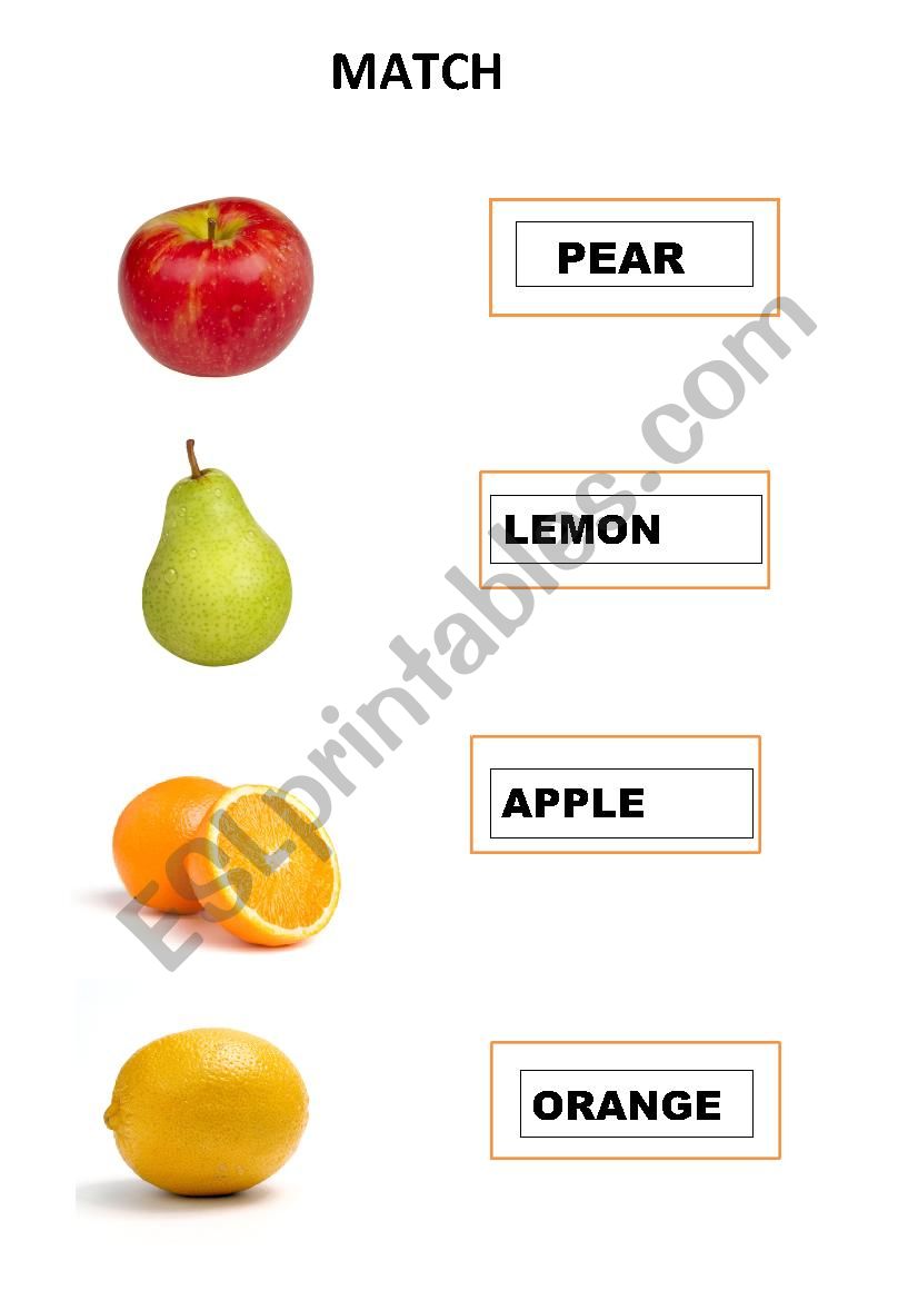 learn fruits worksheet