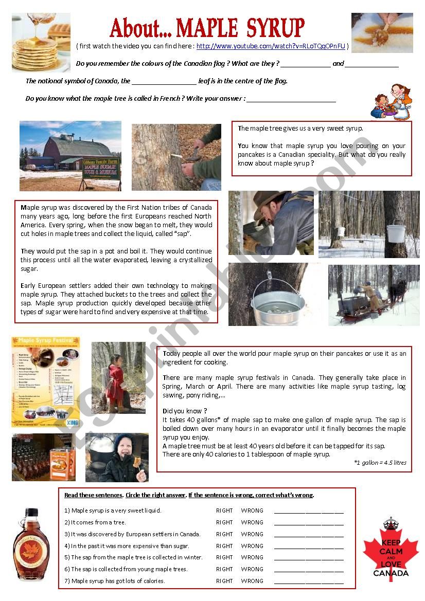 About... maple syrup worksheet