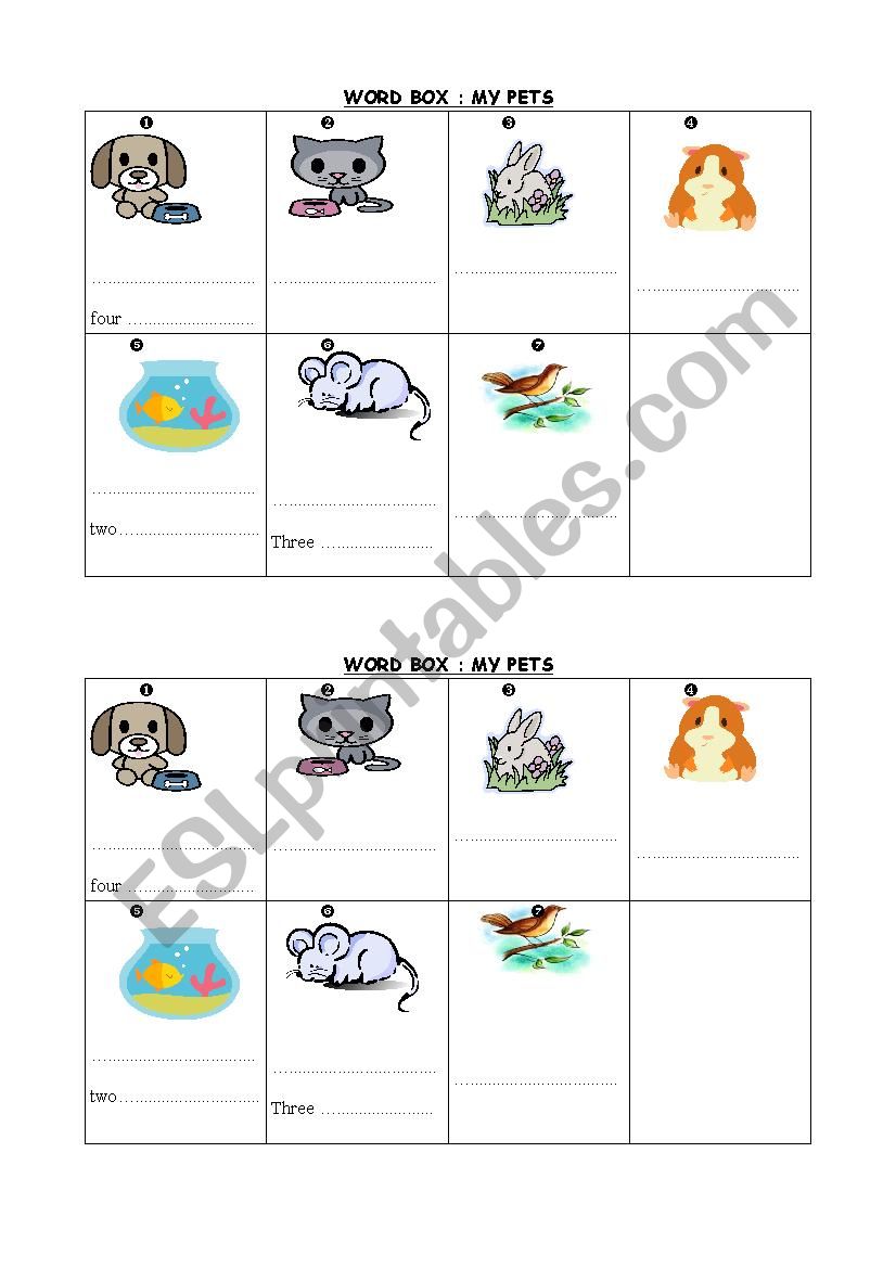 my pets vocabulary worksheet
