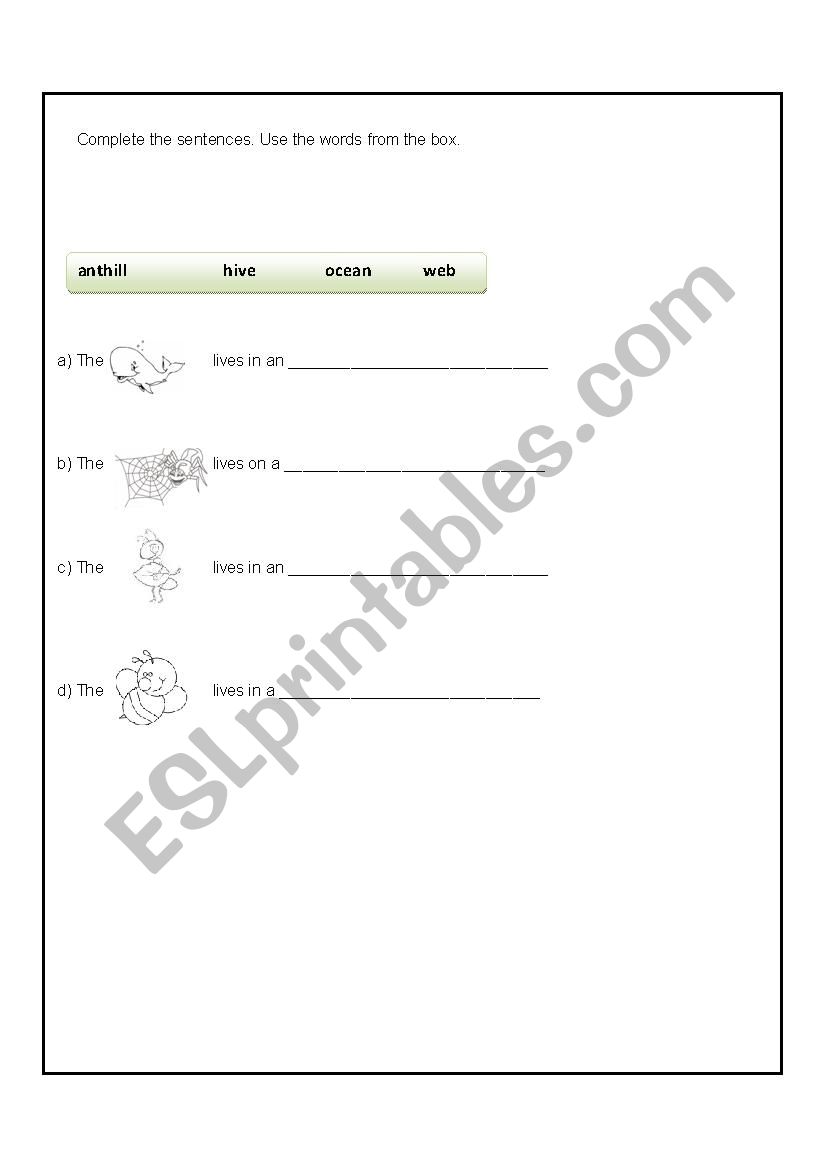 Animals worksheet