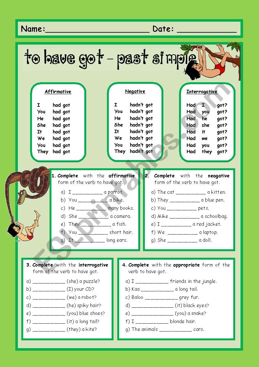 Verb To Have got Past Simple ESL Worksheet By Sally Star