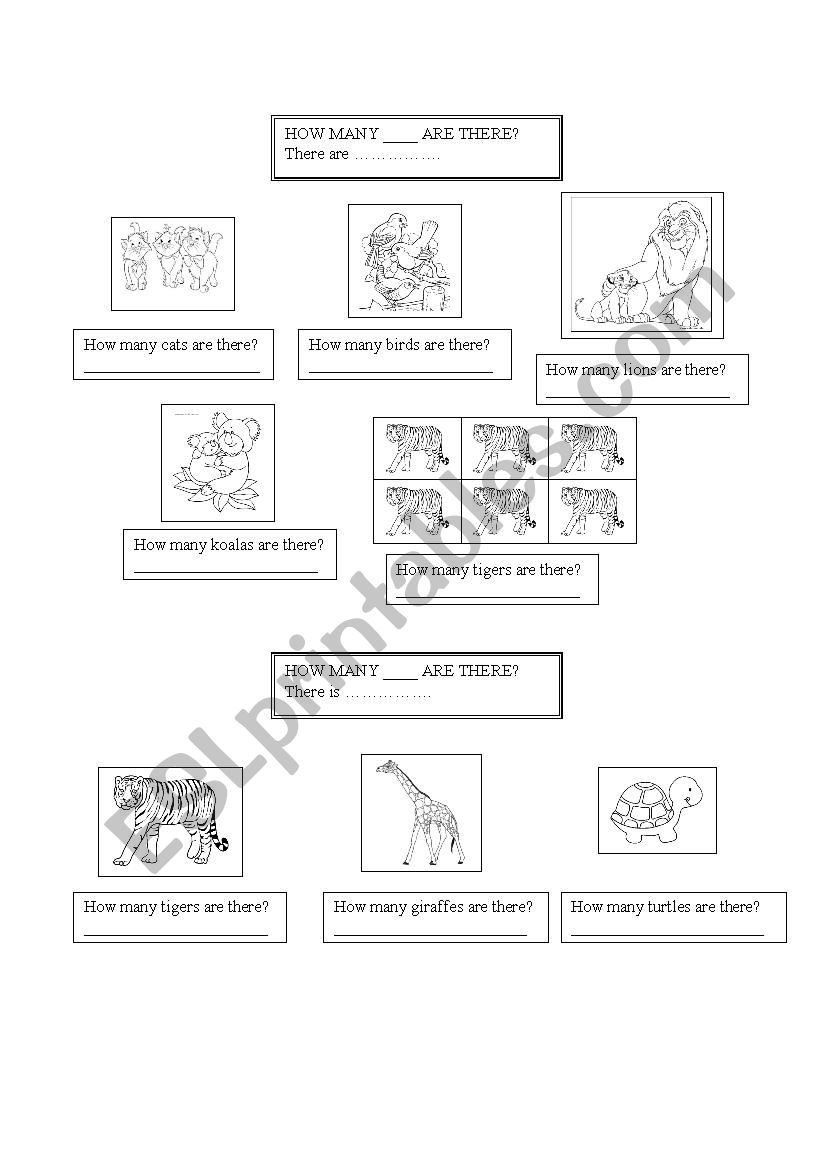 Animals worksheet