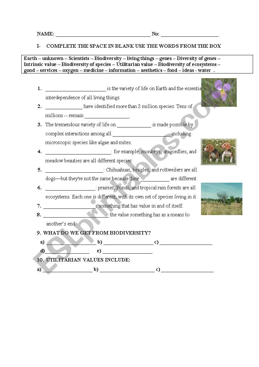 biodiversity-esl-worksheet-by-escaon