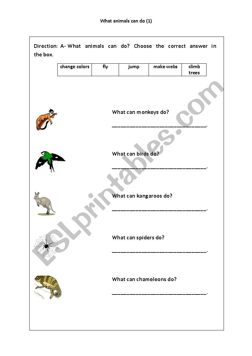 What Animals Can Do worksheet