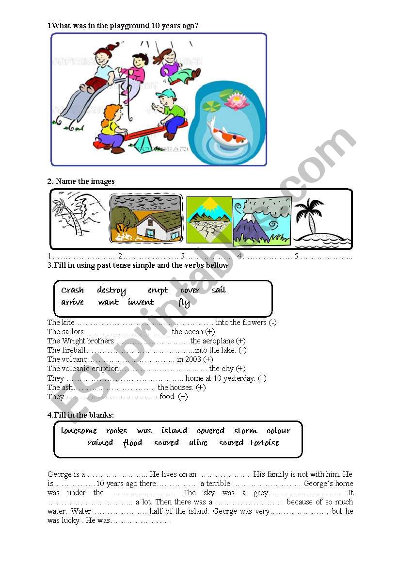 5th grade test worksheet