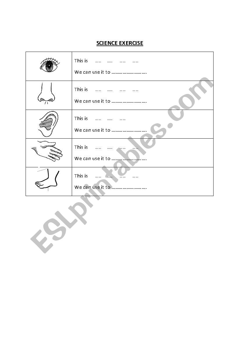 Science - Body Parts worksheet