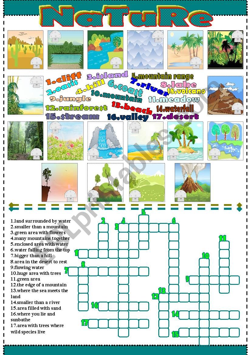 nature worksheet