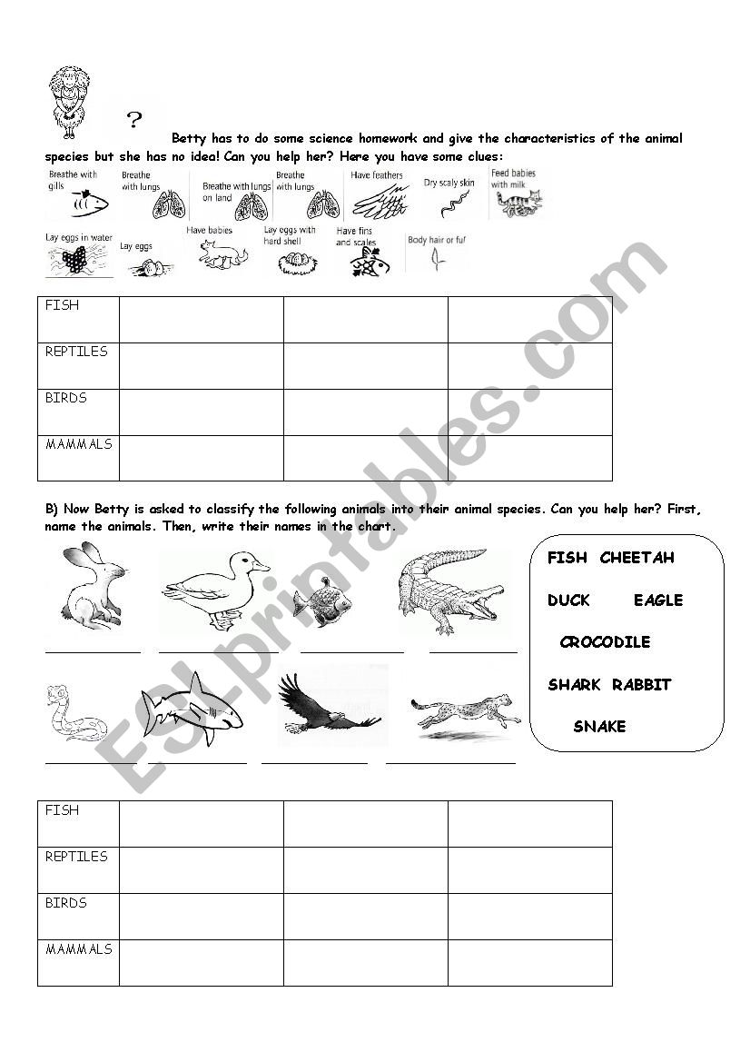 Animal Species worksheet