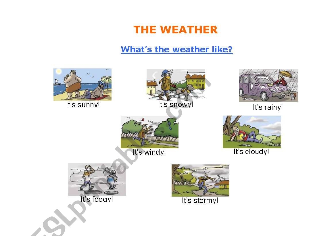 the weather - ESL worksheet by 1206