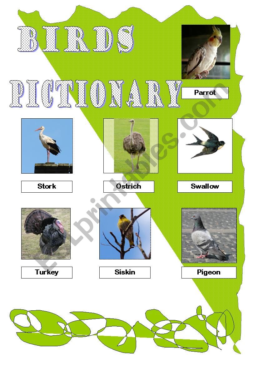 Birds. Pictionary. Part II (Reuploaded) - ESL worksheet by Sonn