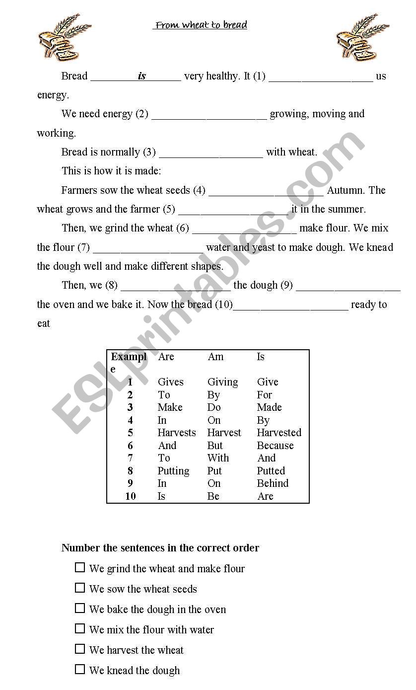 Reading and activities worksheet