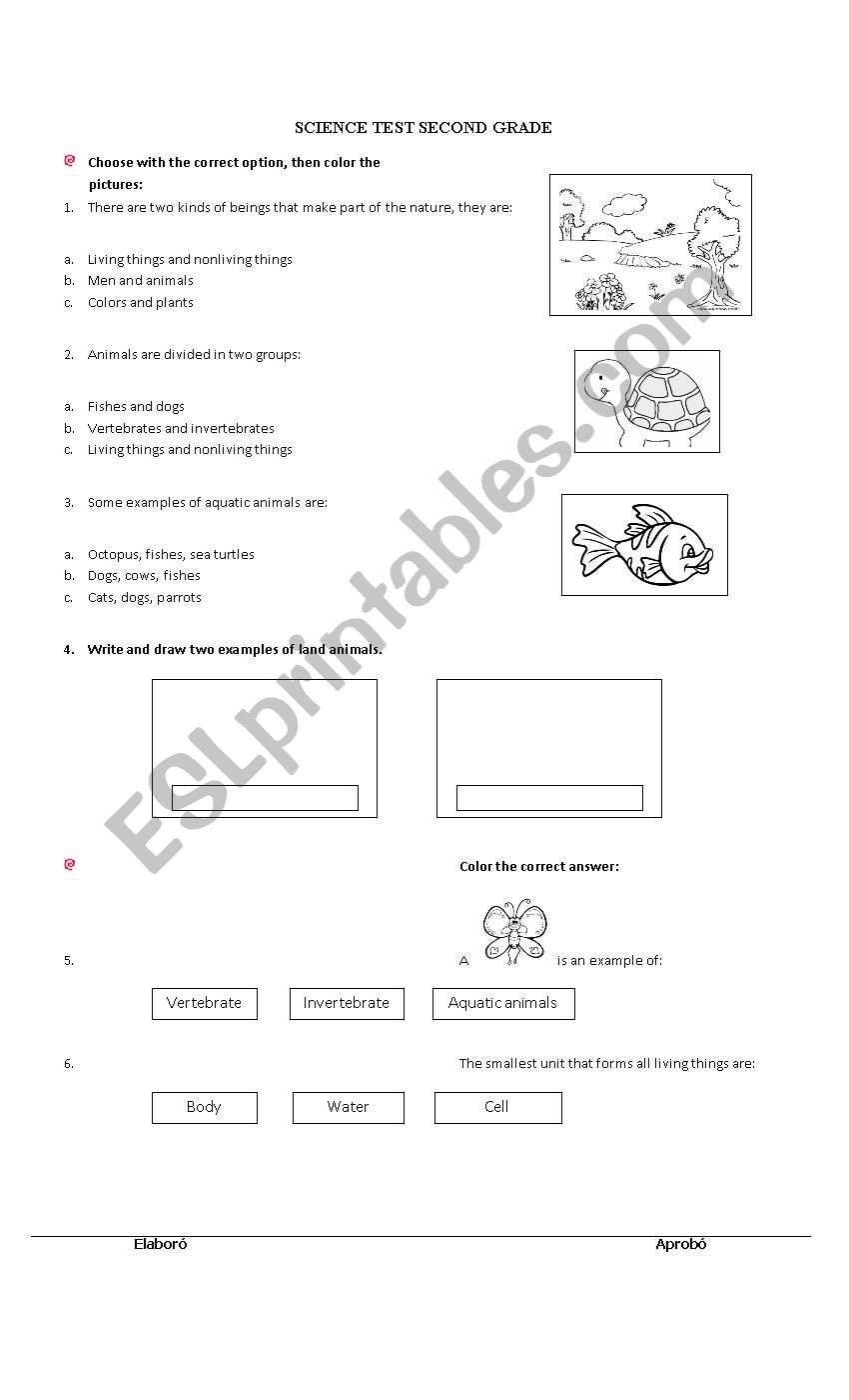 Primary science test  worksheet