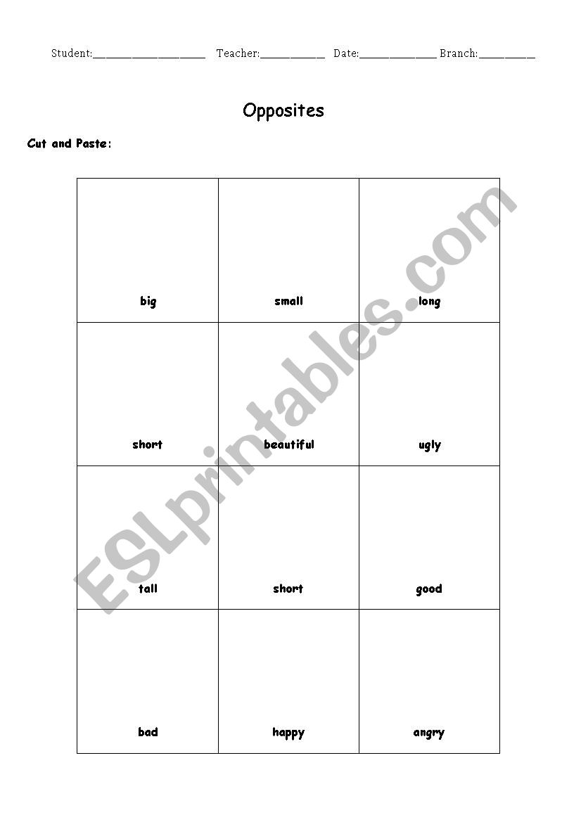 Opposites worksheet