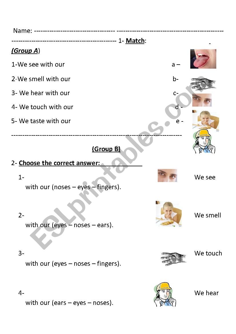 five senses worksheet
