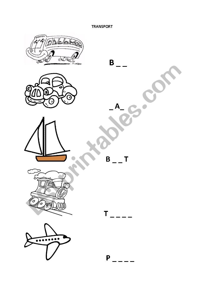 Transport worksheet