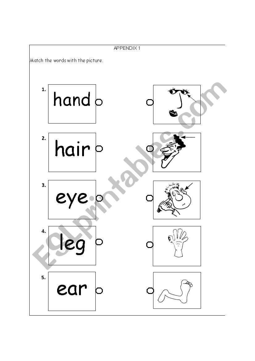 body parts esl worksheet by milosusu