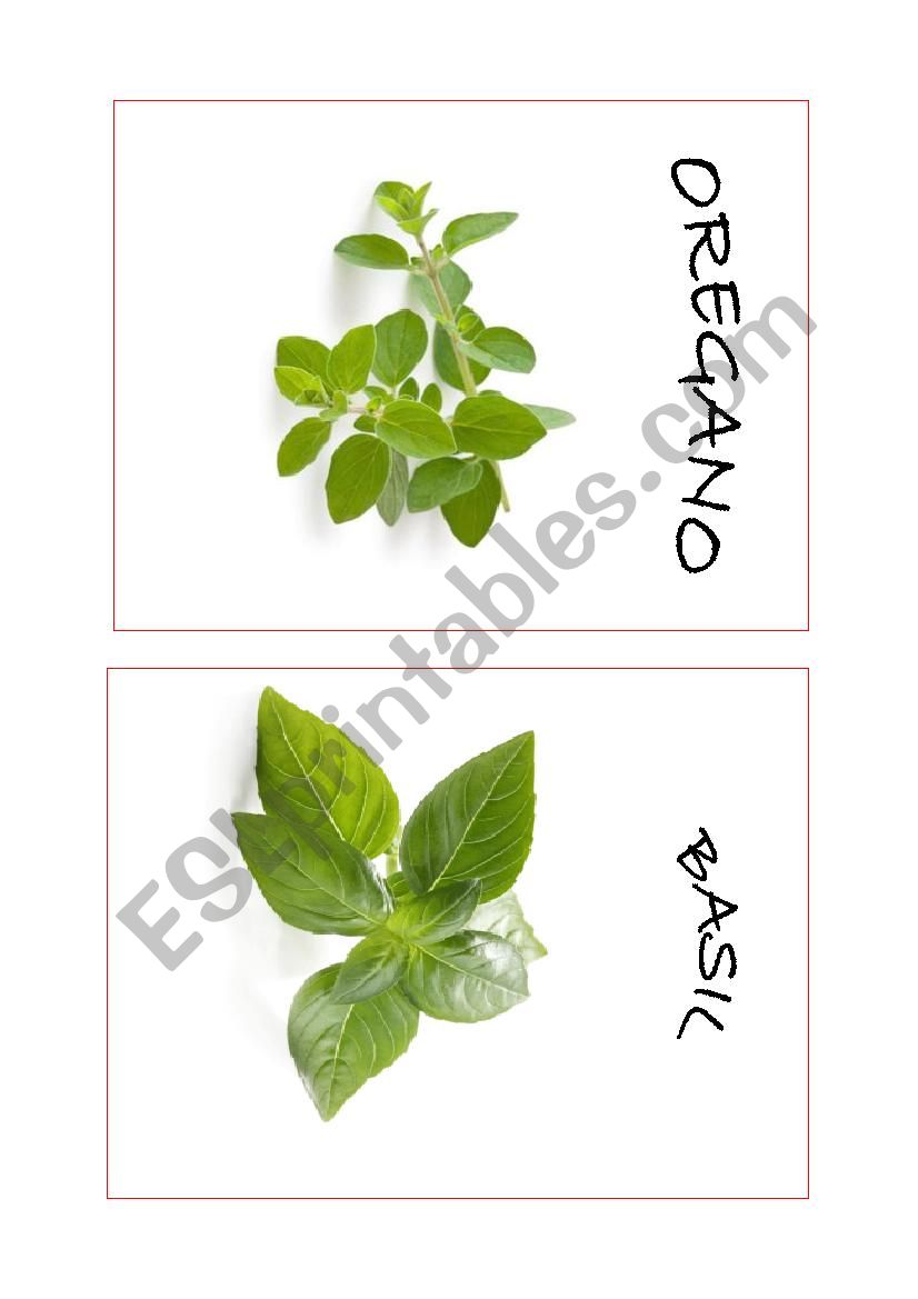 Herbs worksheet