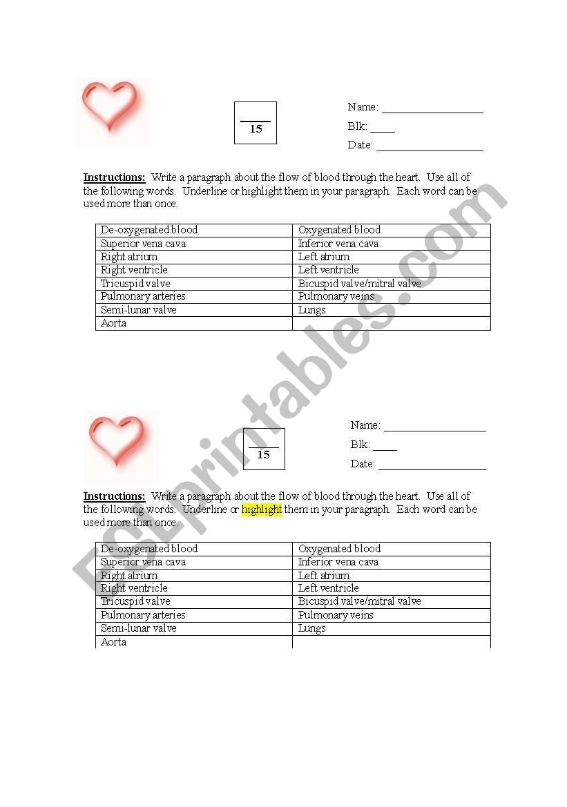 English Worksheets Blood Flow Through The Heart