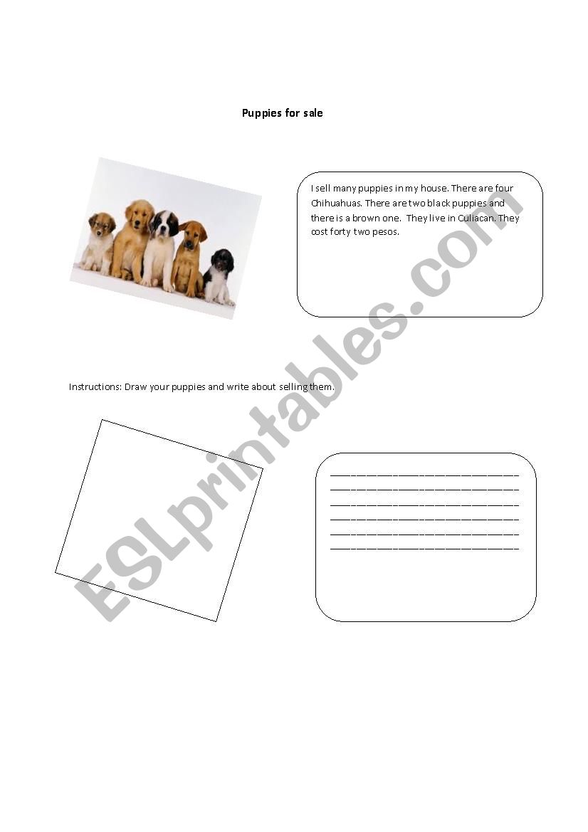 Puppies for Sale worksheet