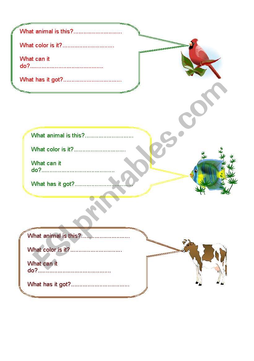 English Worksheets Answer The Questions About The Animals