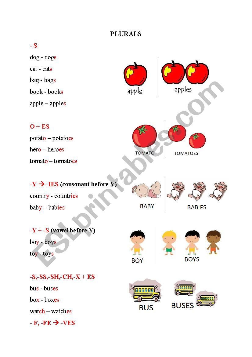 Plurals worksheet